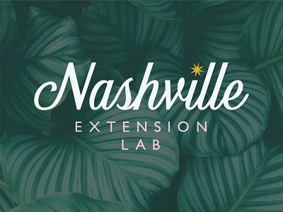 Nashville Extension Lab brand design brand identity branding graphicdesign logo logodesign logotype