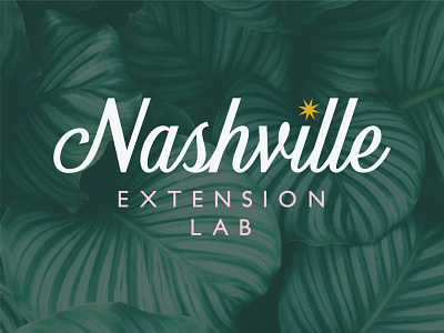 Nashville Extension Lab