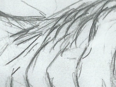 Sketch pt.2 (abdominal obliques)