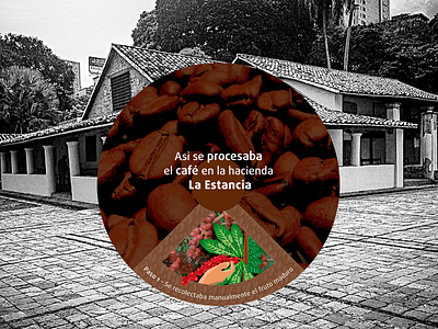 Proyecto Señalética Hacienda La Estancia café diseño de flyer diseño gráfico illustration infograph