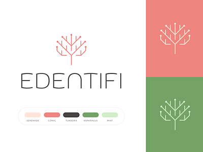 Edentifi Identity app branding coral identity logo mint plants typography vector