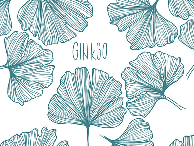 ginkgo digital drawing ginkgo illustration illustration digital ipadpro kiasue nature plant plant illustration procreate