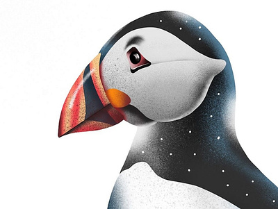 puffin close-up animal applepencil illustration illustration art illustration digital ipadpro kiasue procreate procreate art procreate drawing puffin