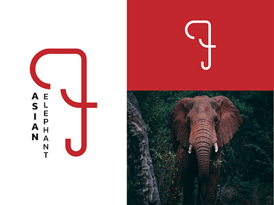 Mono Line Minimal Logo ( Animal Logo ) animal logo branding design elephant flat golden ratio logo illustrator logo minimal mono line logo typography vector