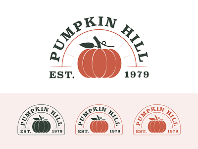 Spring Cleaning brand branding design farm icon illustration logo mark pumpkin vector