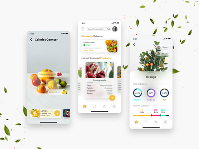 Calories Counter - App Design