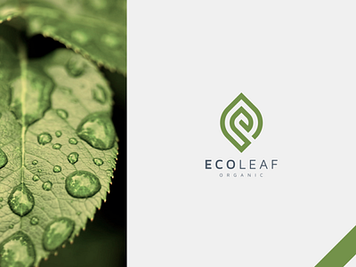 eco leaf app branding design flat icon logo minimal ui ux vector