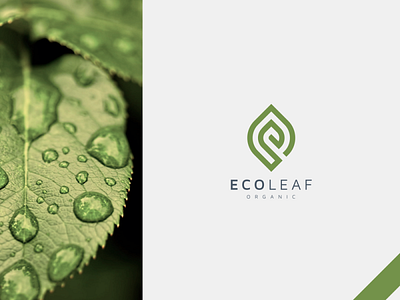 eco leaf