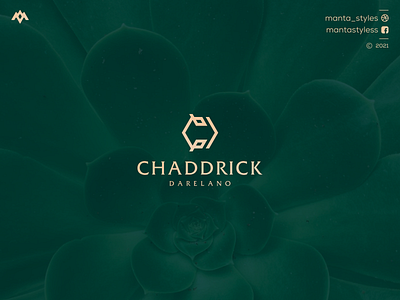 Chaddrick Darelano app branding c logo cd logo concept d logo design icon illustration jewelry letter logo logo maker logolettering luxury minimal ui