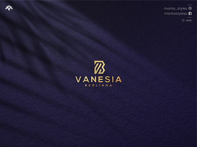 Initial VB Logo app brand mark branding design icon illustration initial logo jewelry letter logo luxury minimal royal brand sale logo top logo ui vector