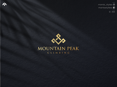 MONTAIN PEAK app branding design icon illustration letter logo minimal ui vector