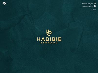 HABIBI BERNADO app branding design icon illustration letter logo minimal ui vector