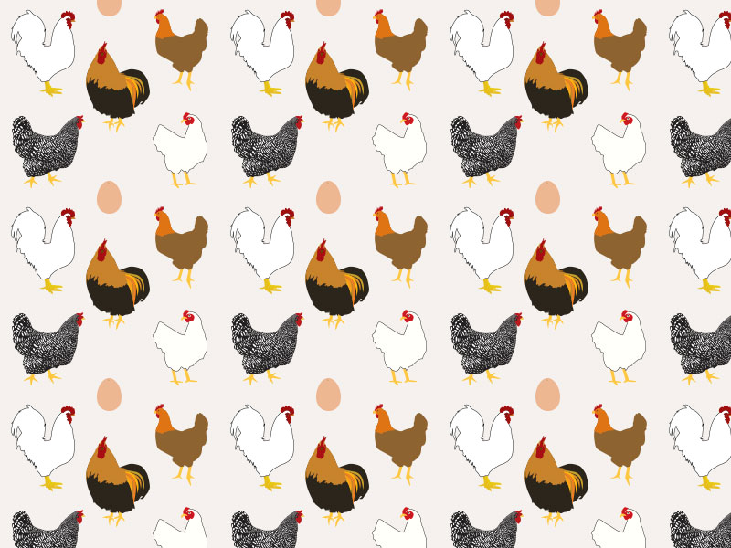 CHICKENS! by Dionne Grayson on Dribbble