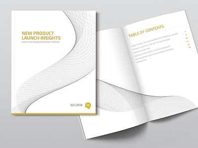 Print Research Report - Product Launch