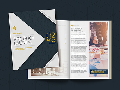 Print PE Quarterly Report - Product Launch Q2 '18 blue book business clean corporate fresh geometic magazine print report