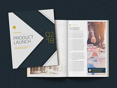 Print PE Quarterly Report - Product Launch Q2 '18