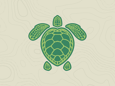 Loggerhead Sea Turtle Illustration animal art branding design digital flat flat design flat illustration illustration logo turtle vector