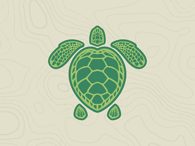 Loggerhead Sea Turtle Illustration