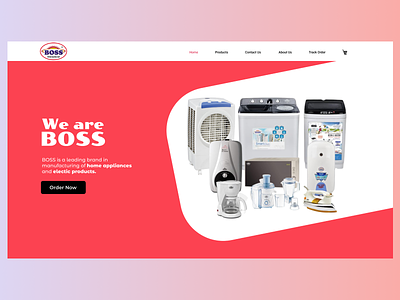 hero section for Boss Home Applience branding design web webdesign