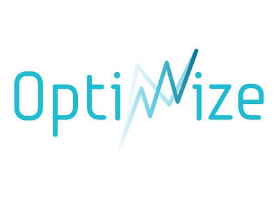 Optimize 2