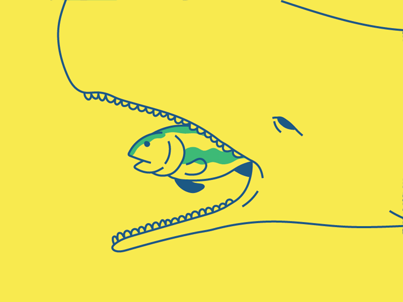 Food Chain animation bite blue descomplica fish gif green humpback loop relampago whale yellow