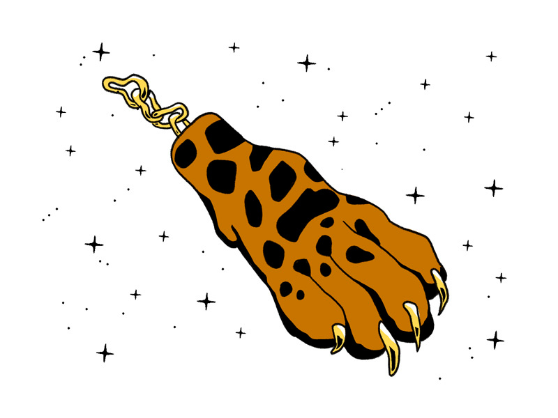 ππ½ GOOD LUCK, BRASIL!! π§π· luck brazil football futebol soccer cup world paw jaguar
