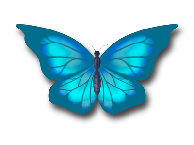 Blue butterfly blue blå butterfly sommer sommerfugl summer