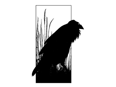 Ill Omen Raven 1 avian bird bird logo blackbird crow illustration novel ravens