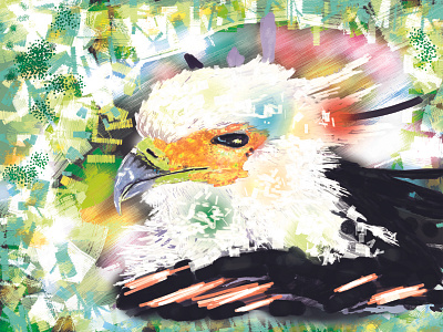 Eagle 🦅 animal art artwork bird colorful design digital art draw drawing eagle falcon feather flying forest hawk illust illustration jungle nature wings