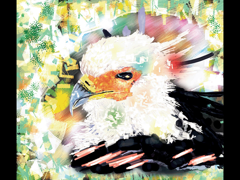 Eagle🦅 animal animal art animalart animated animated gif animation animation gif bird bird art colorful digital eagle forest gif graphic illustration jungle motion graphics nature wings