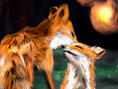 love animal cub fox foxy fur illustration love orange red sun warm