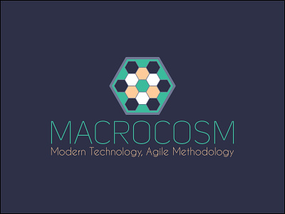 Macrocosm Brand cosmos cyan design hexagonal hexagons logo logodesign macro macrocosm micro microcosm purple universe world