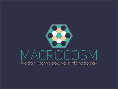 Macrocosm Brand cosmos cyan design hexagonal hexagons logo logodesign macro macrocosm micro microcosm purple universe world