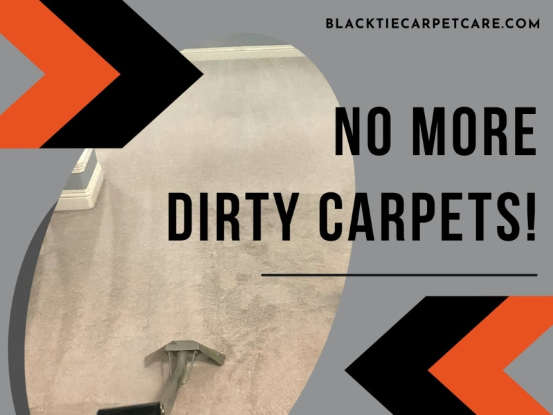 Dry Carpet Cleaning by Black Tie Carpet Care on Dribbble