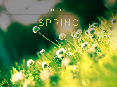 Hello Spring grow helvetica plants seasons spring