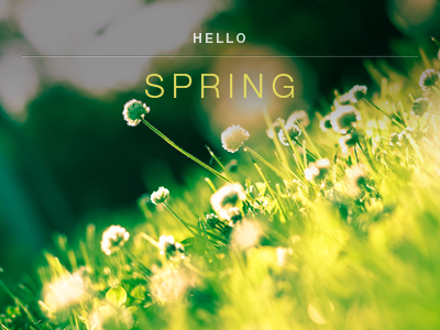 Hello Spring by Andrew Simpkins on Dribbble