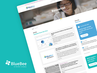 BlueBee Resources blog blog post branding design flat icon illustration logo news resources ui ux vector web website whitepaper