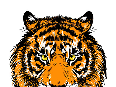 Realistic drawn face of a tiger animals branding cartoon decor design drawing emblem graphic design icon illustration illustrator logo poster print simbol t shirt tiger typography vector wild