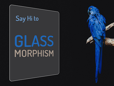 Say Hi to Glass Morphism app branding design flat glass glass effect glasses glassmorphism glassware icon illustration logo minimal prahlad prahlad inala ui ux