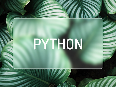 Python Glass Morphism designed by Prahlad Inala app branding design flat glasseffect glassmorphism icon illustration logo minimal photoshop prahlad prahlad inala procreate product prototype python python programming ui ux