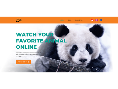 Online Zoo