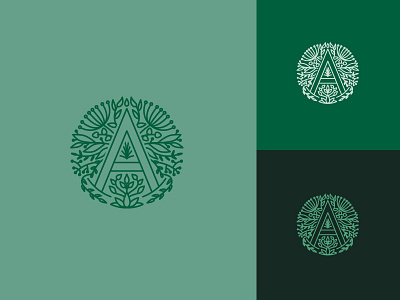 Acacia logo brand identity branding design flourish illustration logo logotype minimal modern