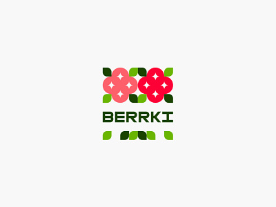 Berrki | Brand identity berries berry bio brand identity branding design food illustration logo logotype nature