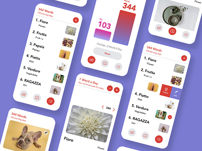 Vocabulary building app app design ios app design language app language learning study vocabulary building app