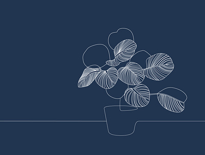Calathea orbifolia blue debut design first shot flat illustration lineart plant vector