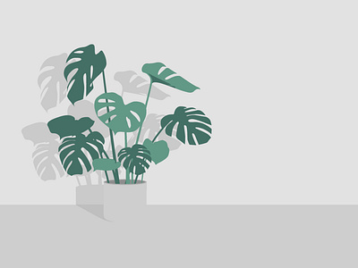 Monstera debut design flat grey illustration lineart minimal plant vector