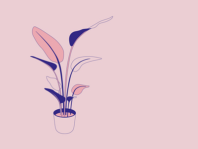 Strelitzia Nicolai blue design flat illustration lineart minimal pink plant vector
