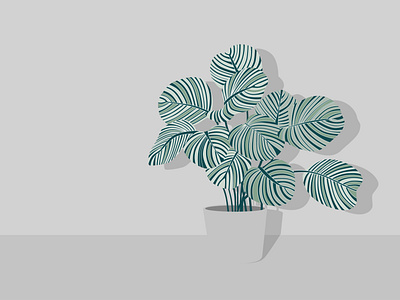 Calathea orbifolia 2.0 design flat flat illustration illustration lineart minimal minimal illustration plant vector vectorart