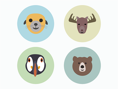 animals set alaska animals bear illustrator moose puffin sea lion wild