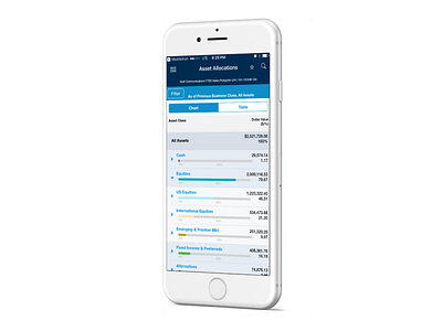 Mobile App for Financial Advisors, Portfolio Asset Allocations